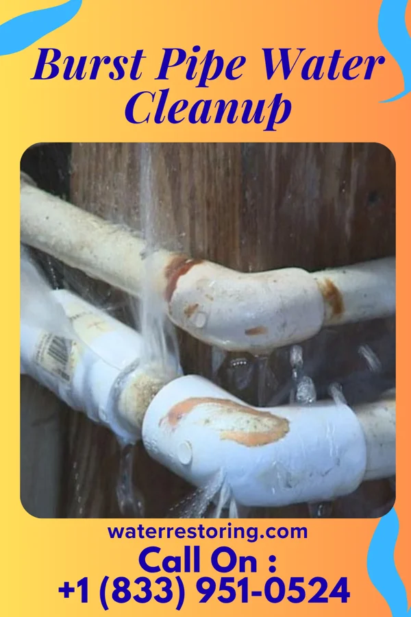 Burst Pipe Water Cleanup in Clute, TX