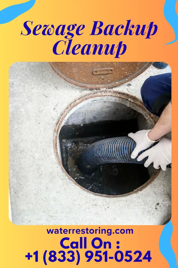 Sewage Backup Cleanup in Clute, TX