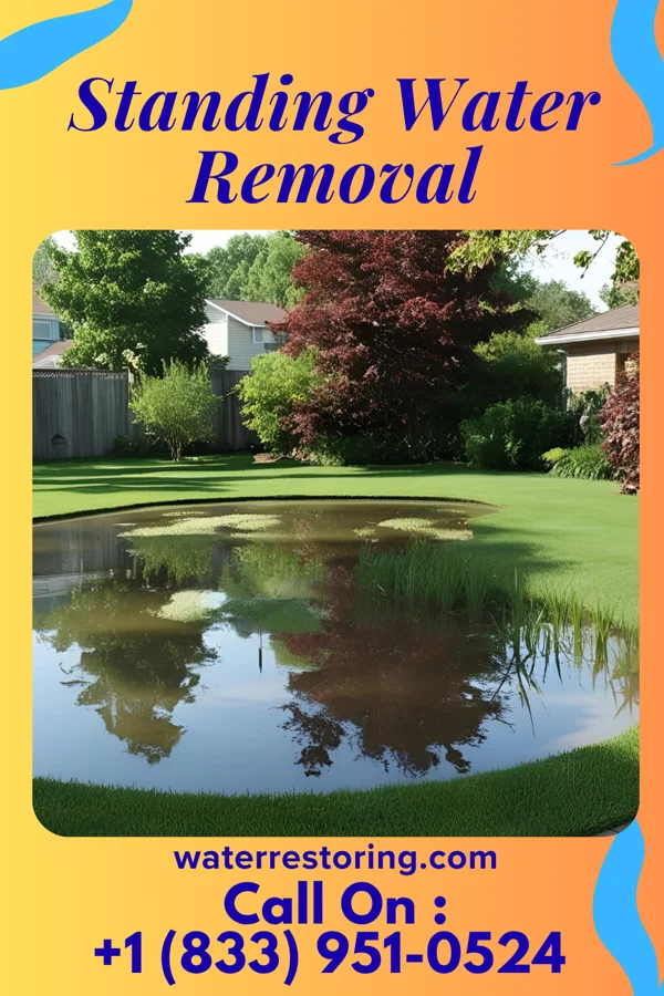 Standing Water Removal in Clute, TX